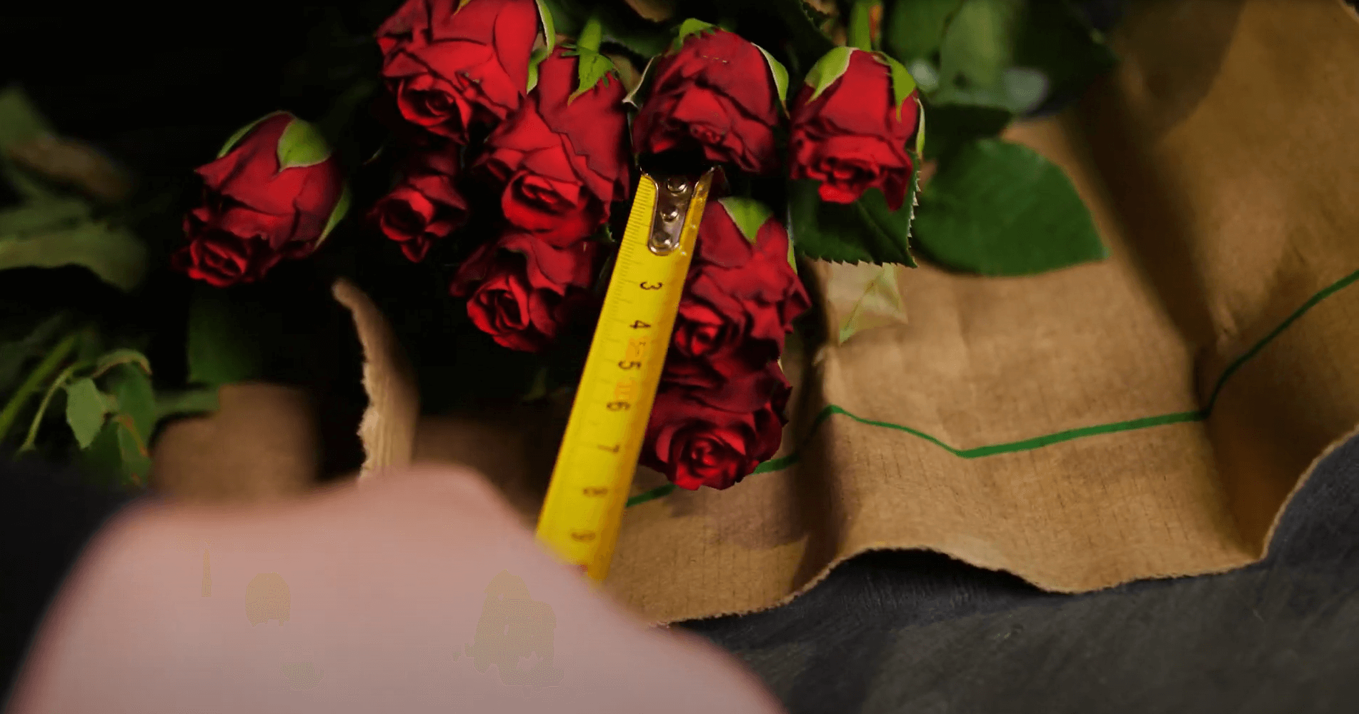 Red Ribbon от Gatoka Flowers против Madam Red от Sian Roses