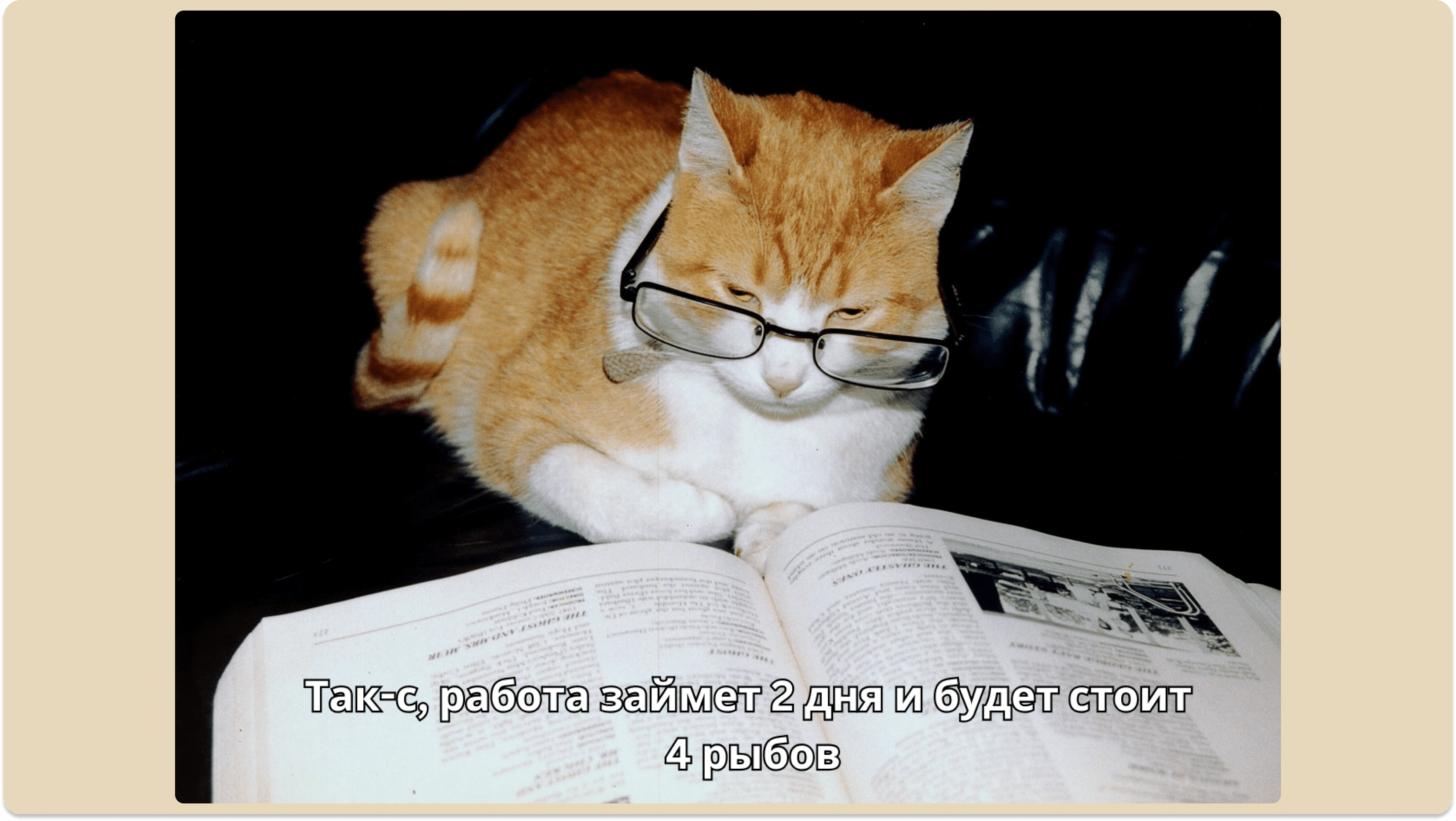 Мем про дедлайны с котом