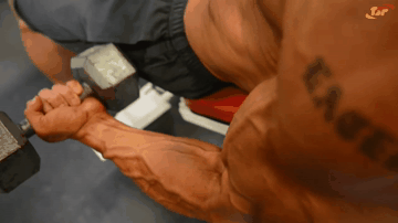 Подъём гантелей на бицепс сидя