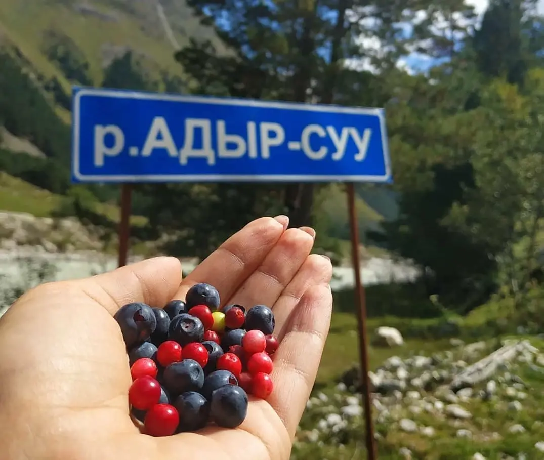 Ягодное ассорти