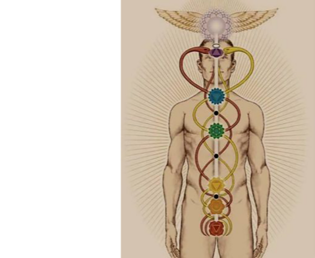 Валерий Уваров Пирамиды наследие богов, Кадуцеи Гора, Кадуцеи Ба-Ка, Жезлы Гора, Цилиндры фараона, Жезлы Египтян, Жезлы Ра