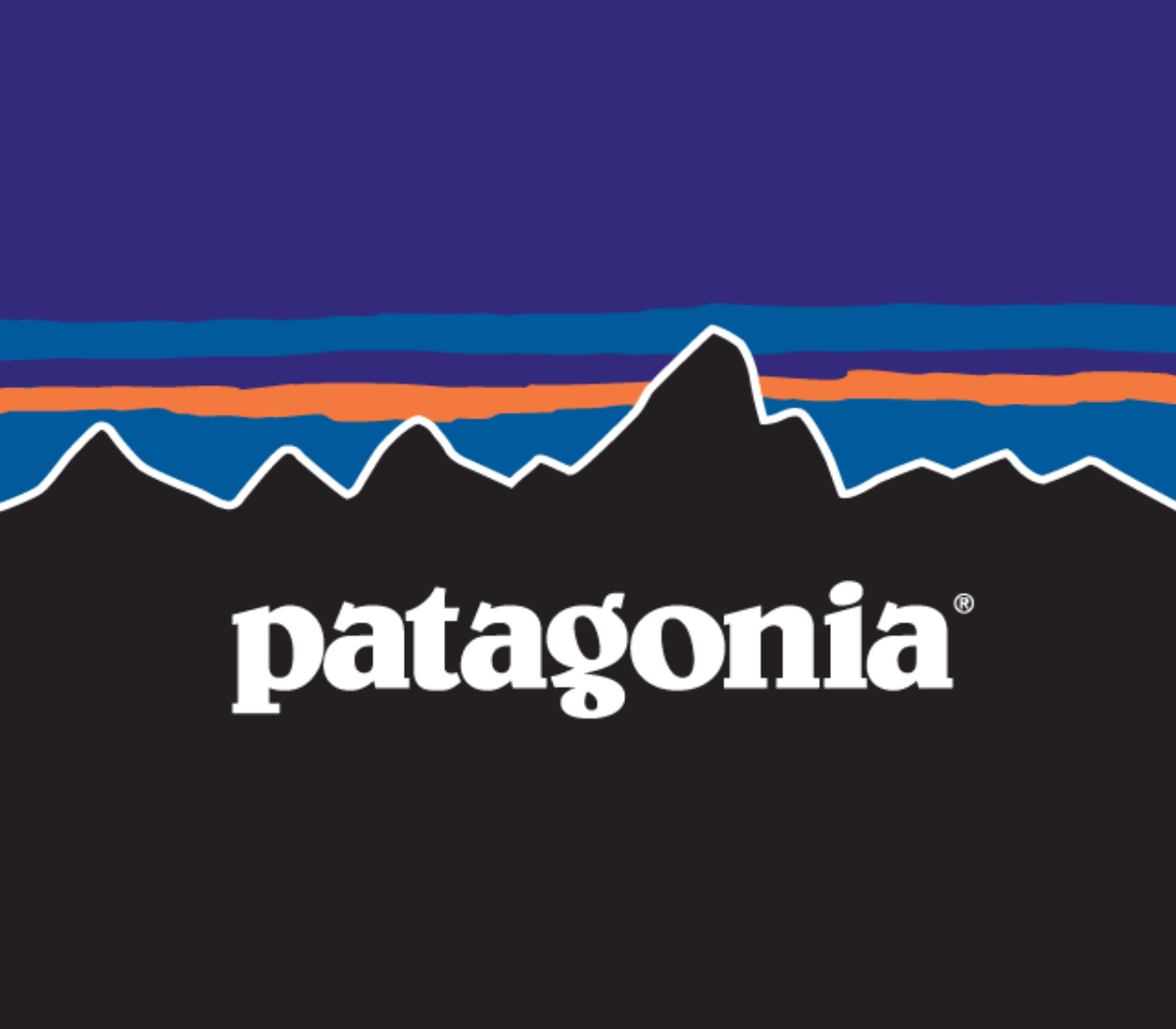 Бренд патагония. Патагония логотип. Patagonia фирма. Фирма одежды Patagonia. Patagonia одежда логотип.