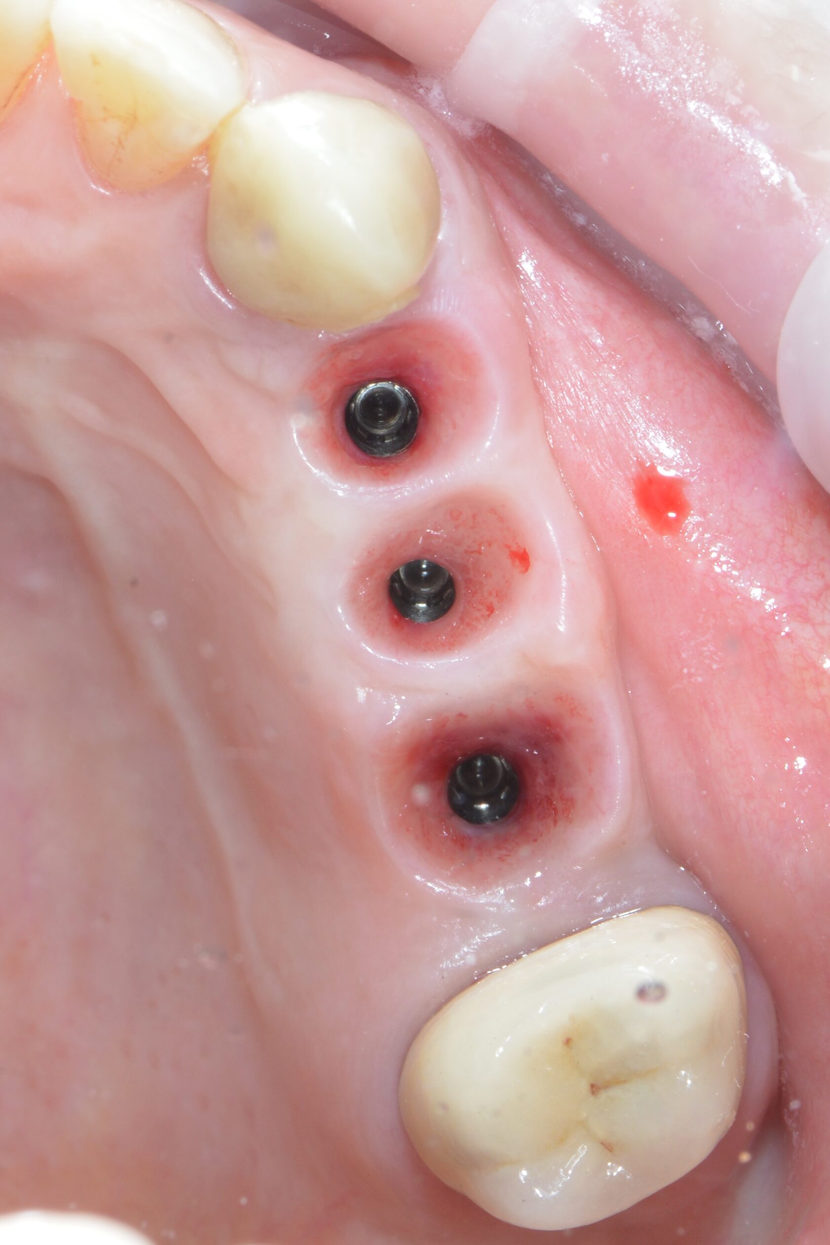 Фото с конференции 