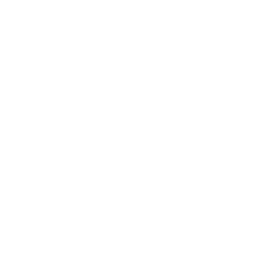 website icon