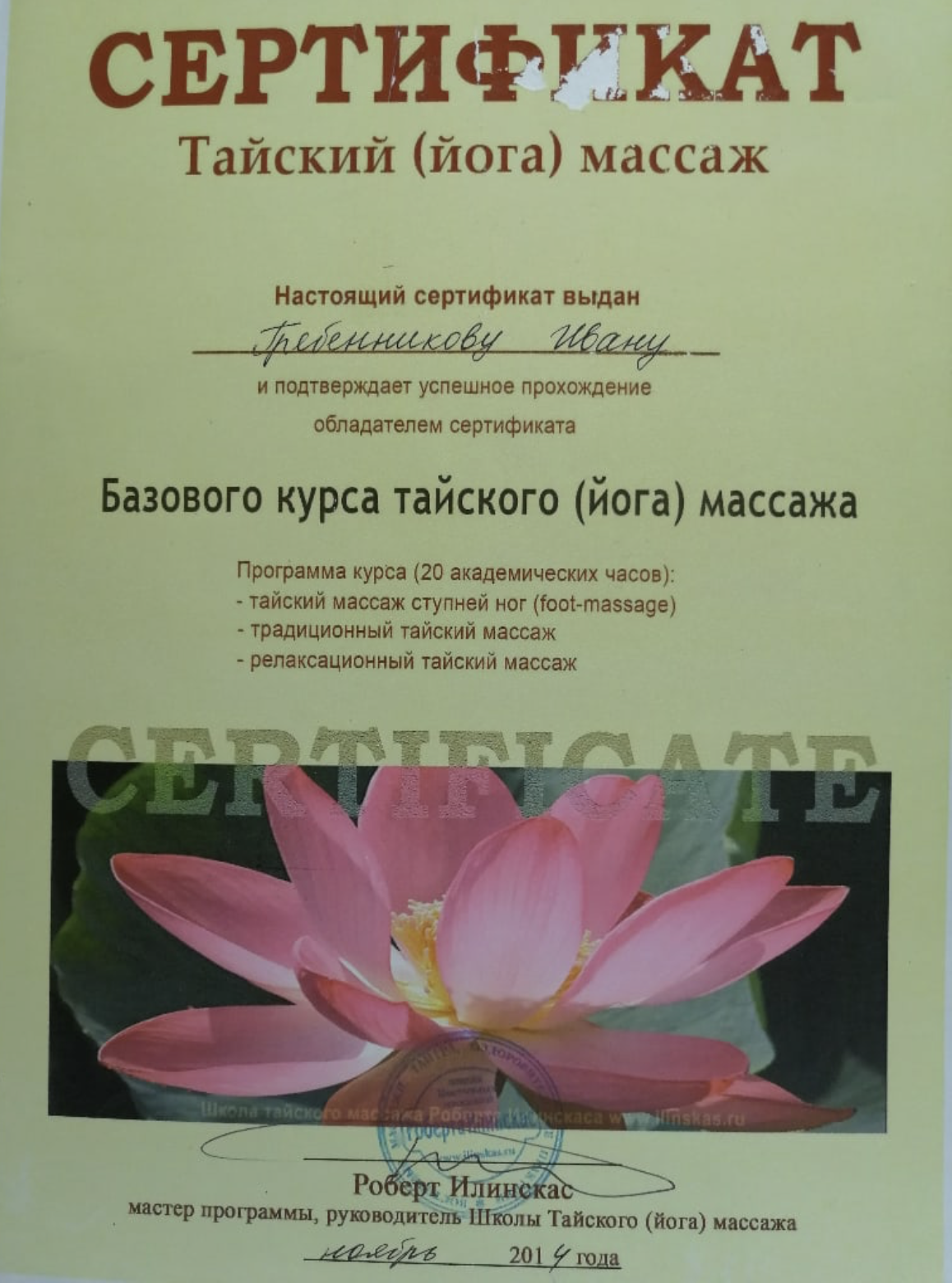 Диплом или сертификат Ивана Гребенникова — 9