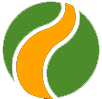 website icon