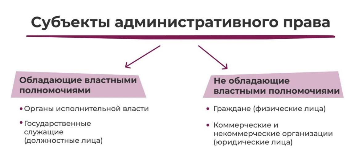 Органы сходные по общему плану строения но служащие для выполнения различных функций называются тест