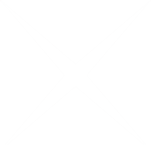 website icon