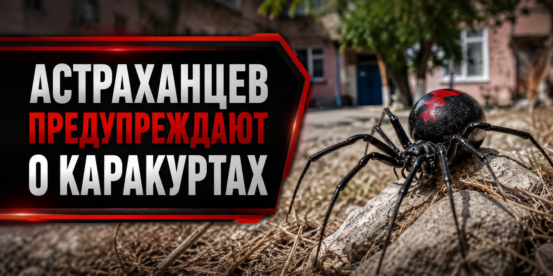 Карта мест, где встречают каракуртов в Астрахани