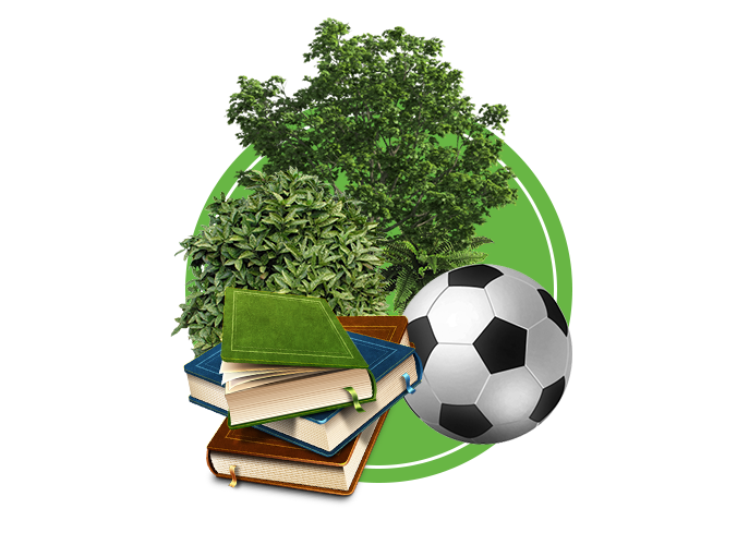 Функция опросов веб-платформы WhenSpeak.