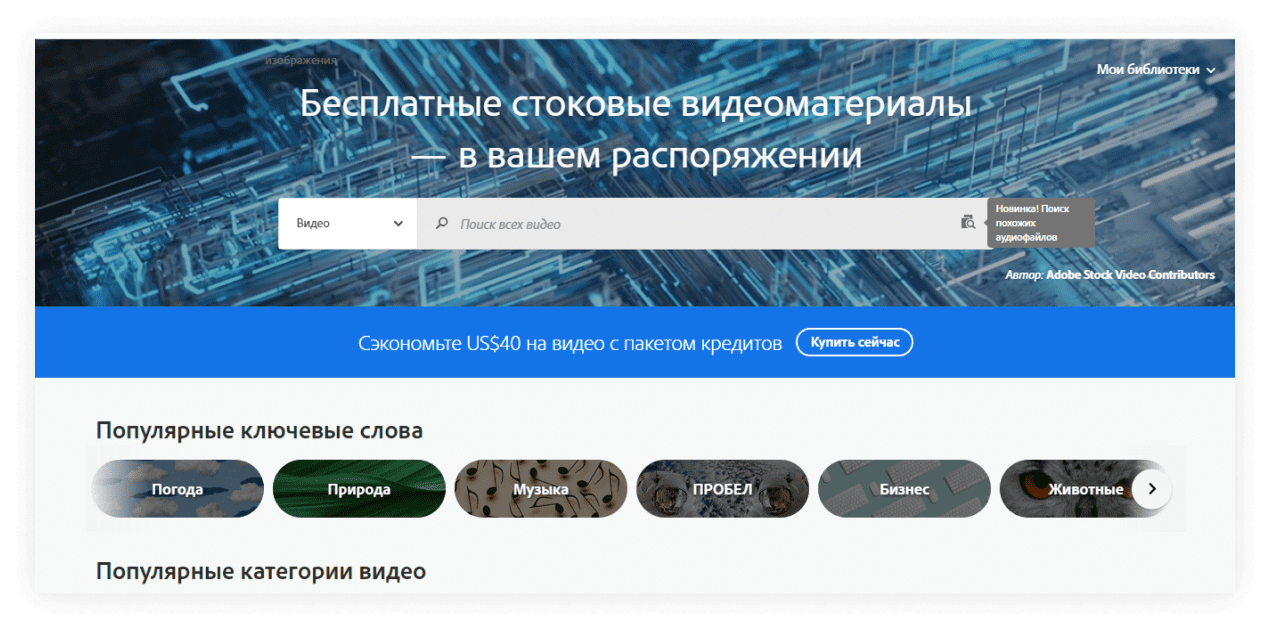 Бесплатные видеостоки и платные: ТОП 40 лучших стоков, где скачать видео  для сайта, футажи, видеофоны, вертикальные видео для рилс и сторис