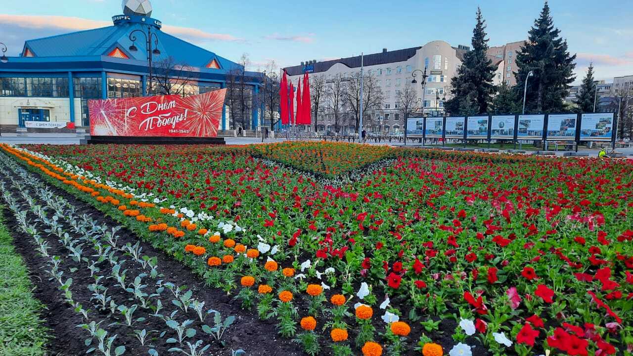 Наша рассада высажена на городские клумбы