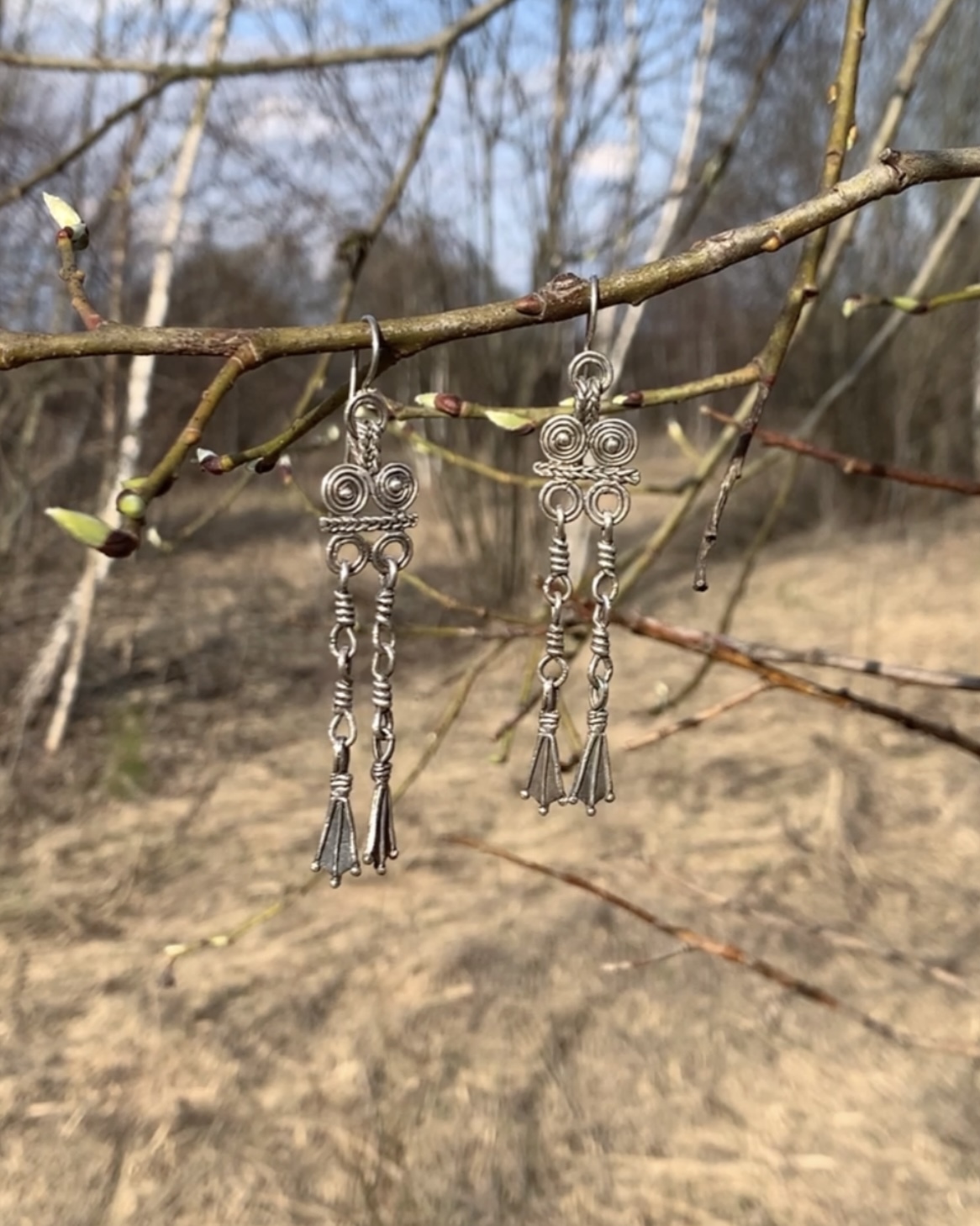 цветет бородавчатая береза. сережки тополя осокорь.