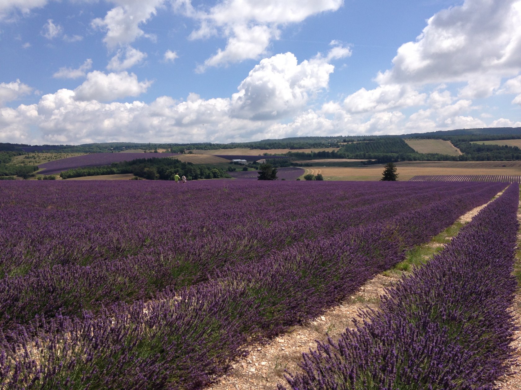 плато валансоль