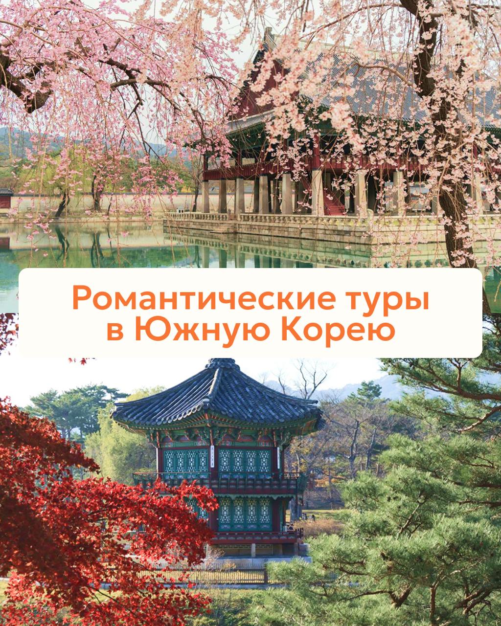 Романтические туры в Южную Корею