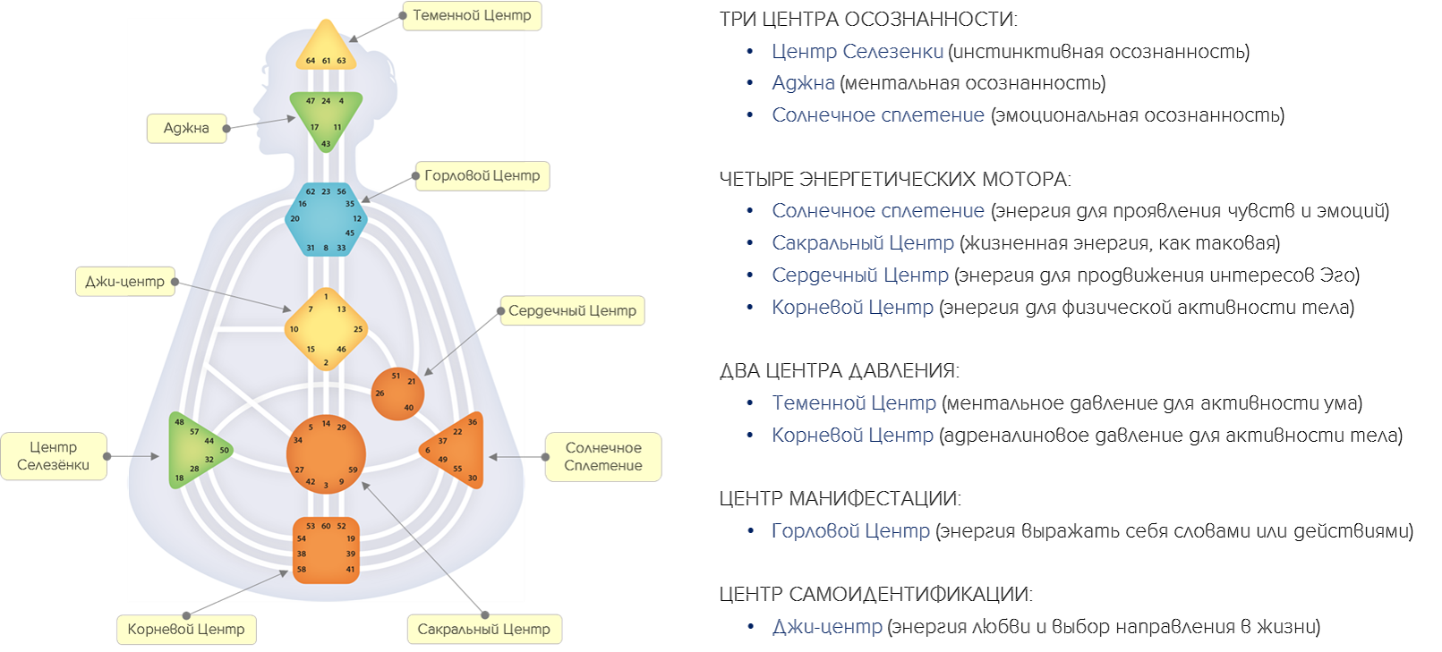Центр описание. Энергетические центры человека дизайн человека. Чакры и центры в дизайне человека. Теменной центр в дизайне человека. Дизайн человека центры бодиграфа.
