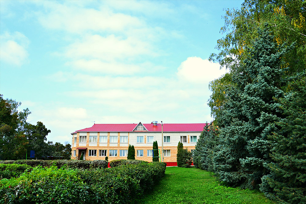 Лагерь волжанка ульяновск фото