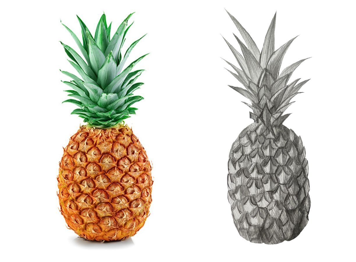 pineapple drawing easy