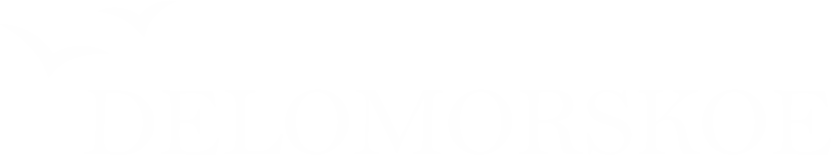 Company
