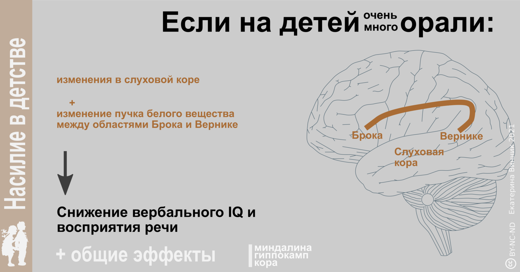 Нейробиология для начинающих. Галлюцинации мозг. Фокус внимания в мозге.