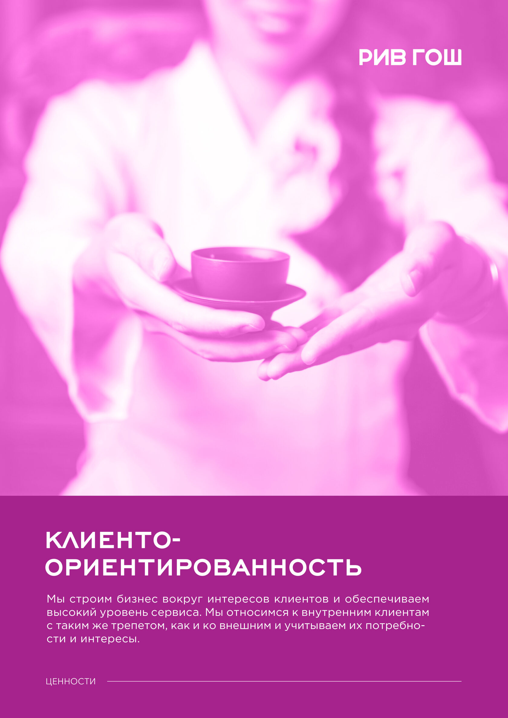 РИВ ГОШ – материал проекта