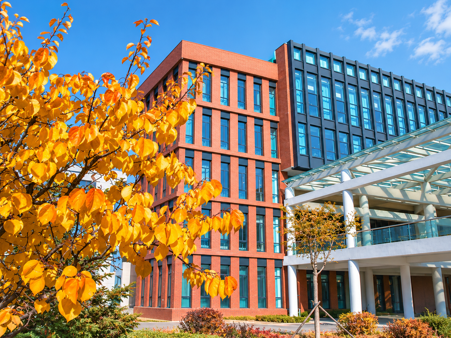 Maple Leaf World School в Китае