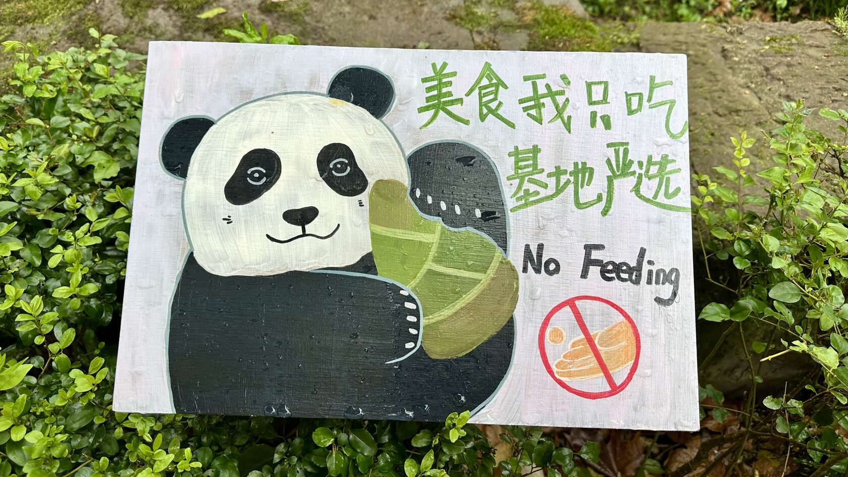 Научно-исследовательский центр по разведению больших панд