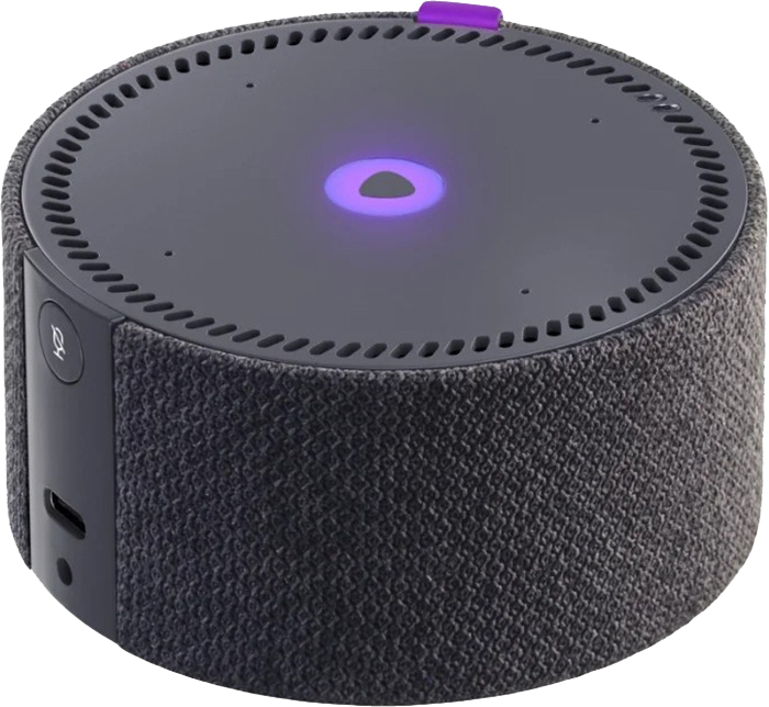 управление дома через голосовые команды