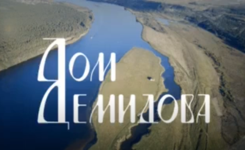 Итоговый логотип комплекса «Дом Демидова» в Тутаеве