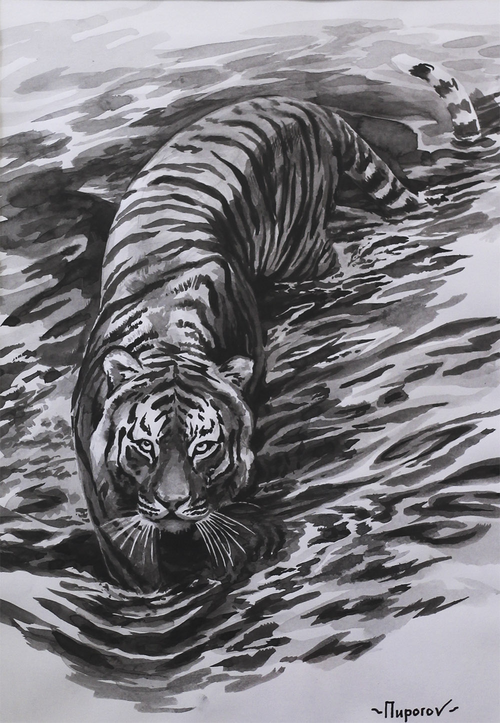 Рисунок тушью тигр в воде