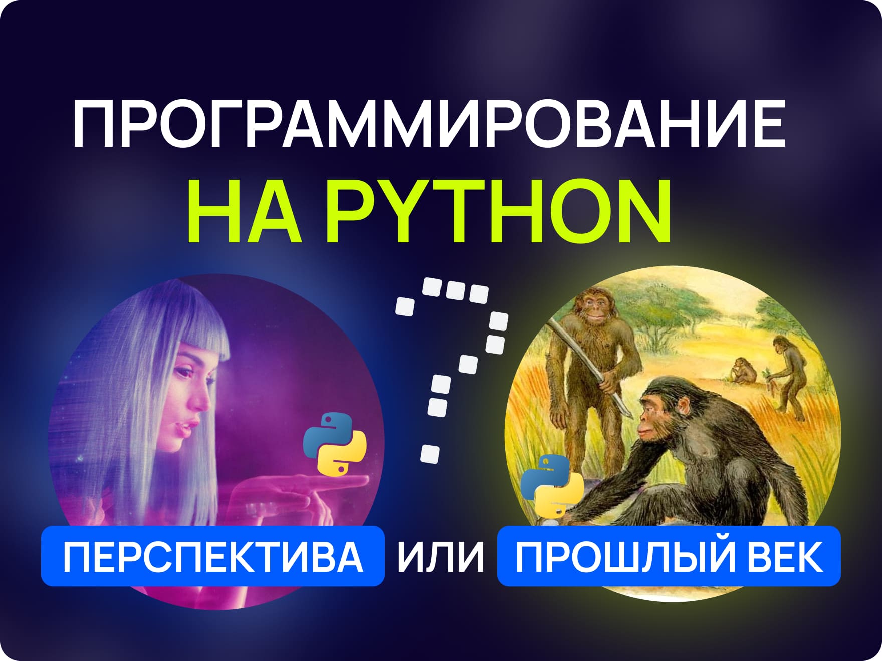 Программирование на Python: перспектива или прошлый век? | Maxitet блог