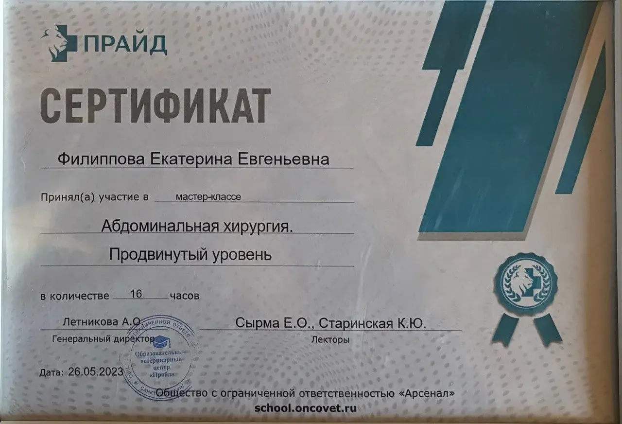 Сертификат SIMAKOV Veterinary Teleradiology за посещение вебинара «Лёгкие? Легко!»