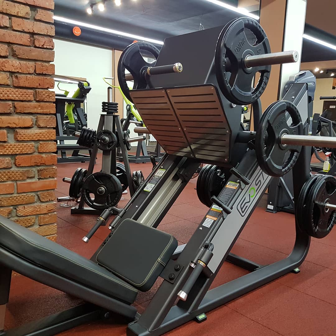 Фитнес томск. Max Fitness e-5000. Тренажерный зал. DHZ Fitness. Талисман Томск фитнес.