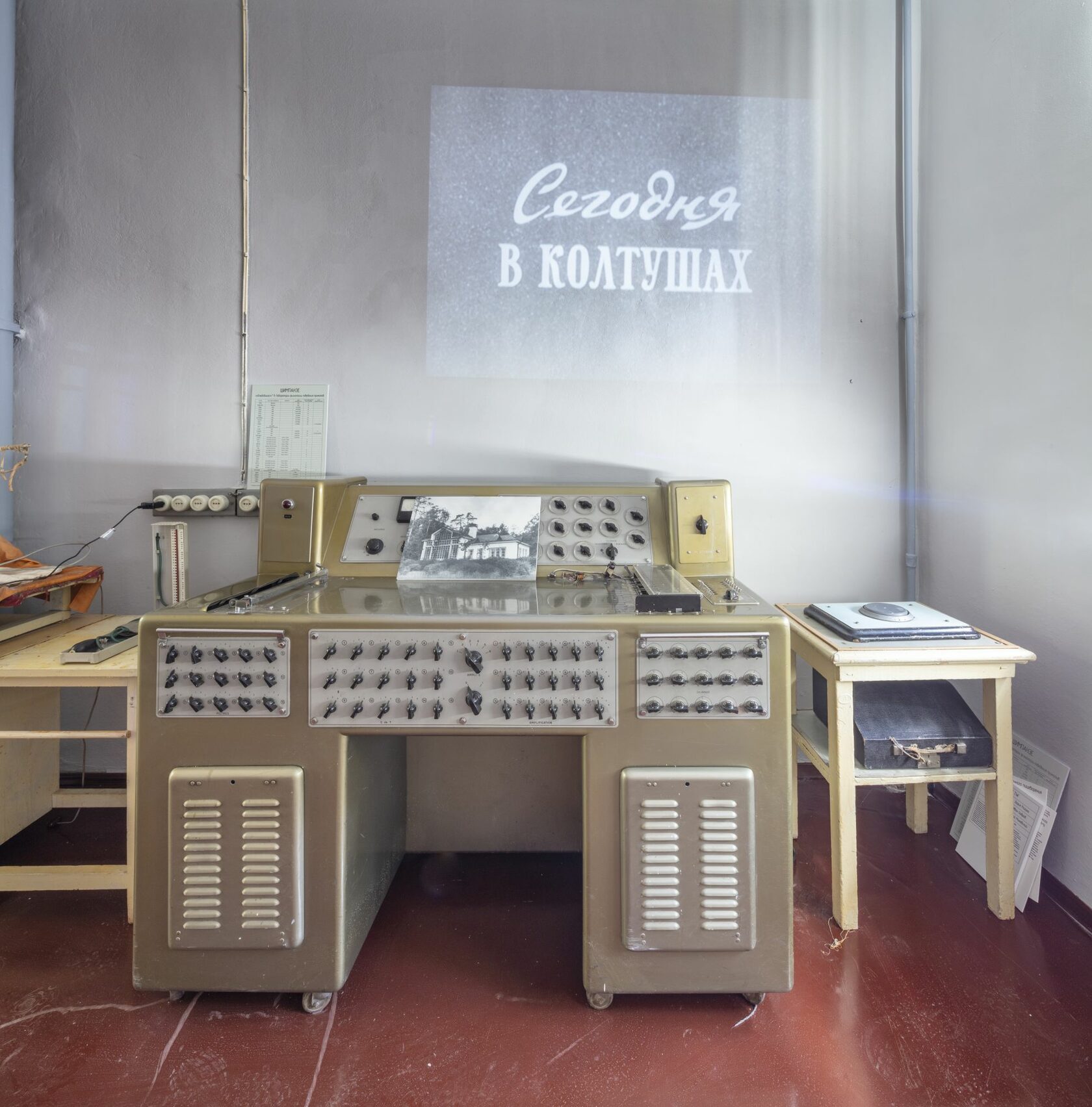 Когнитивистика. Изучение интеллекта у приматов, крыс, мышей и других ...