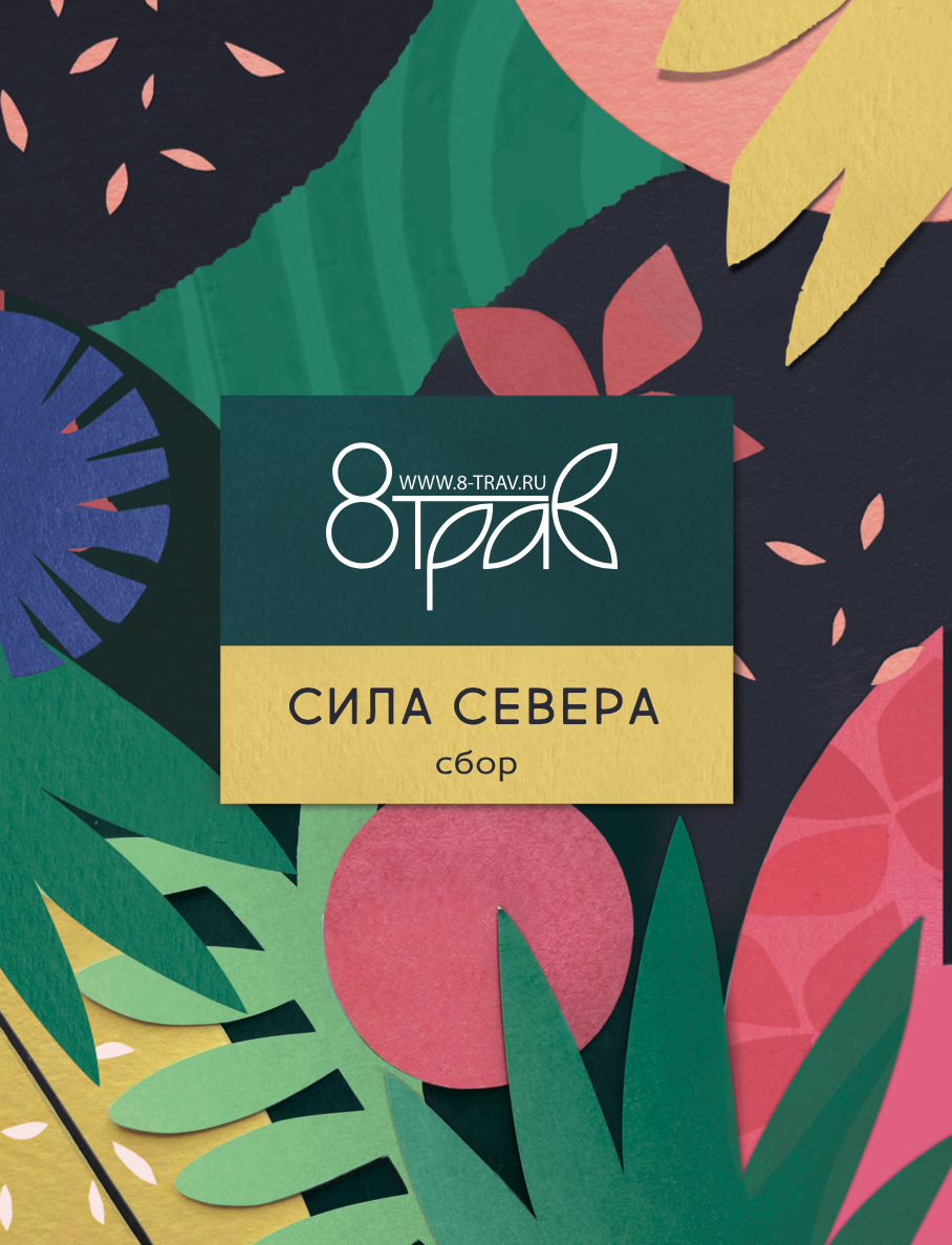 Силла северный отзывы