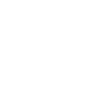 website icon