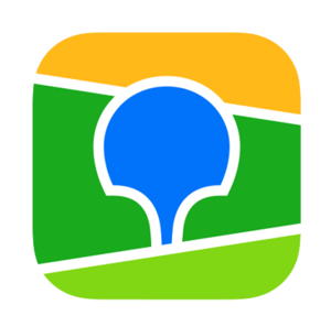 website icon