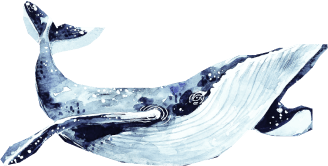 Whale