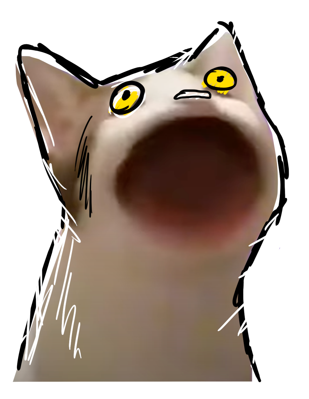 Did.lu