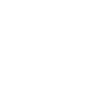 website icon