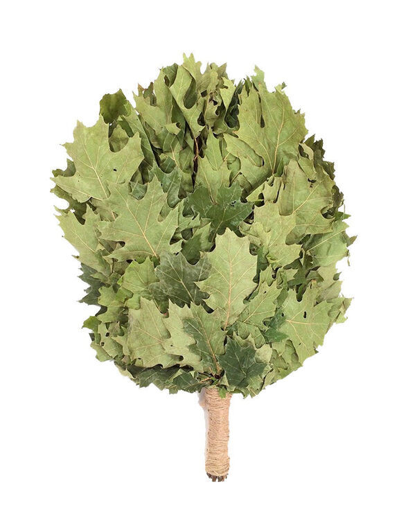 Дубовый веник: сила и долговечность