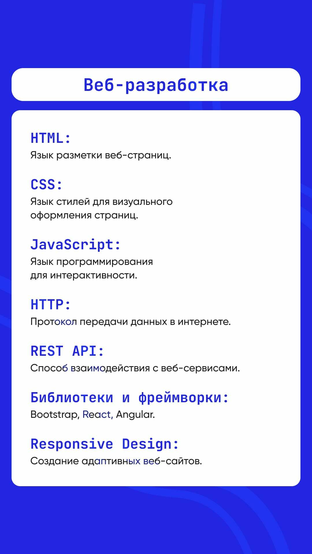Maxitet колледж