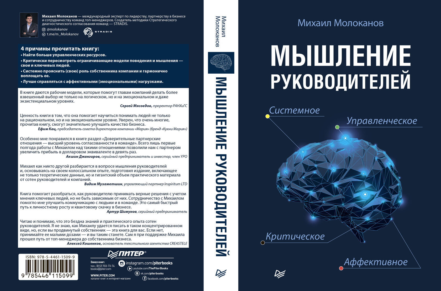 Михаил Молоканов. Мышление руководителей: системное, управленческое,  критическое, аффективное