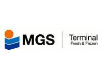 Mgs terminal portal. MGS терминал. МГС терминал портал. МГС терминал СПБ. ООО «МГС».