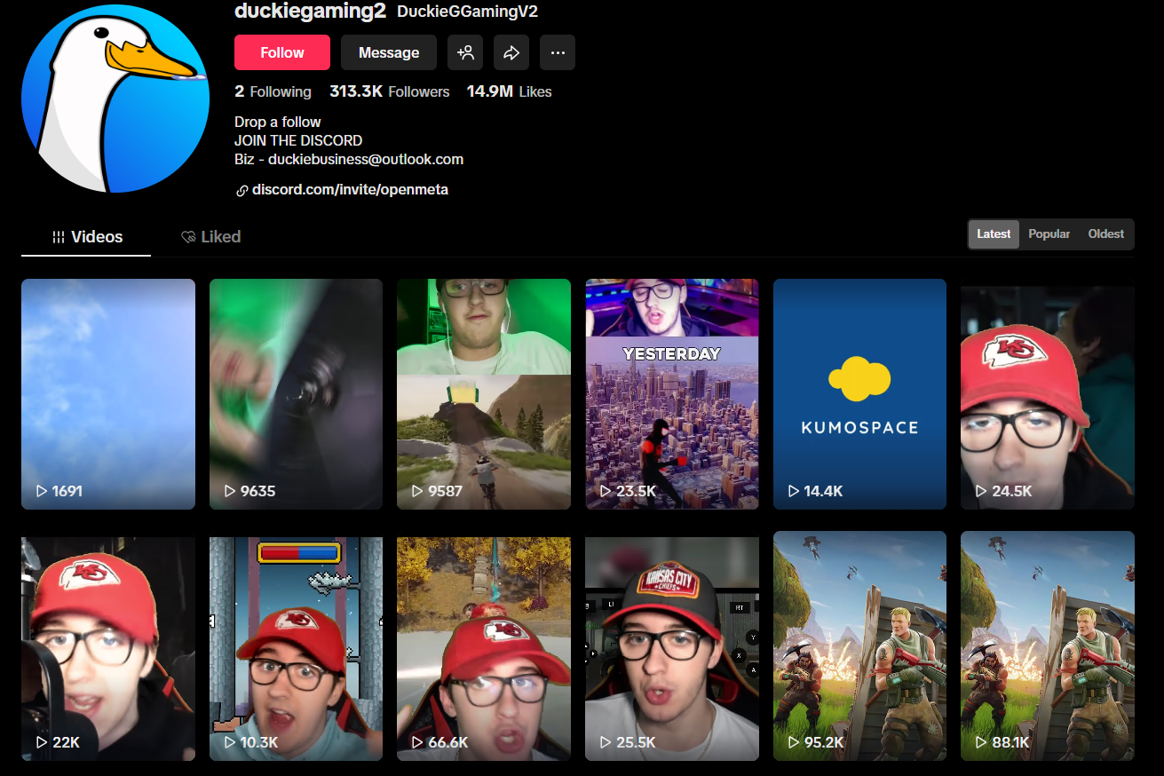 Duckiegaming2 tiktok gaming influencer