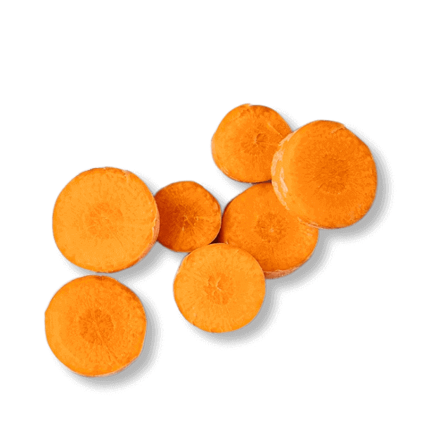 морковь для собак