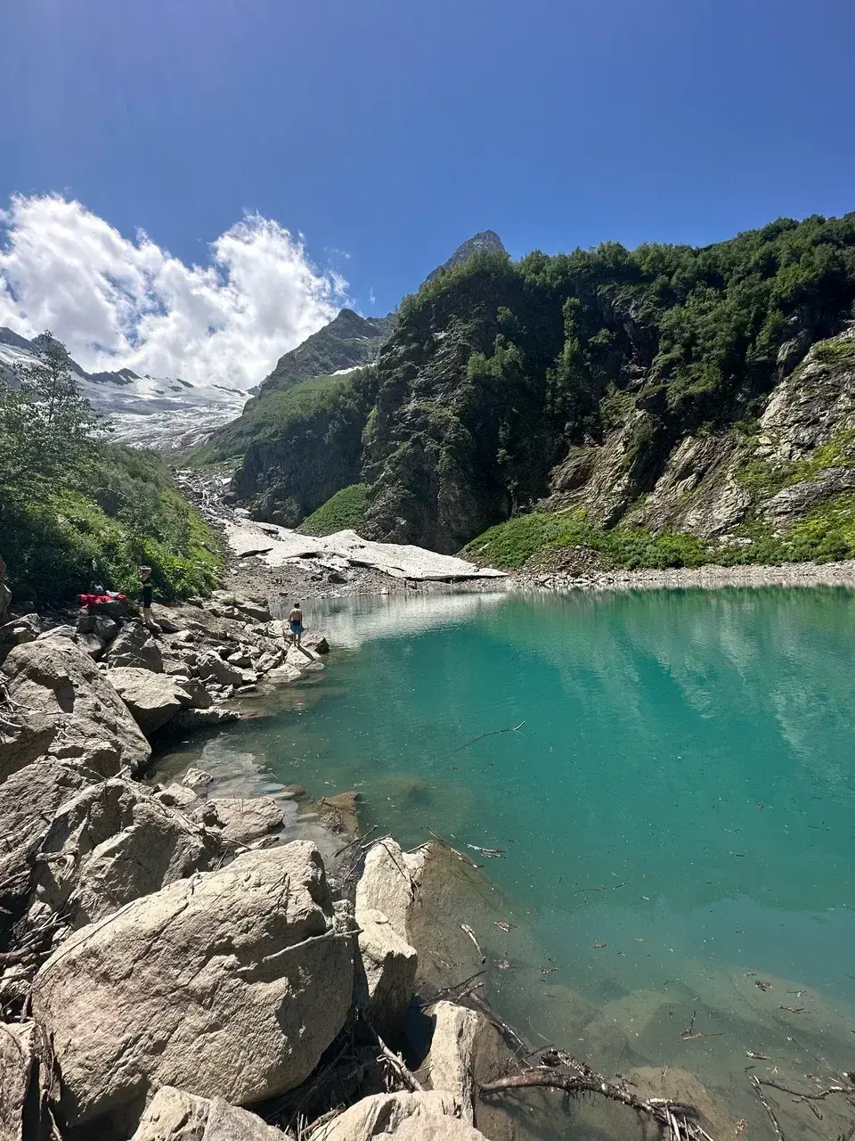 Nature view