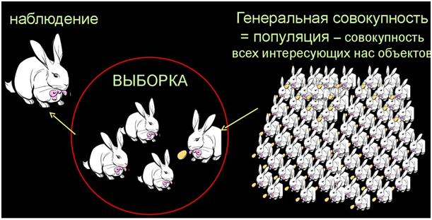 Признаки в машинном обучении