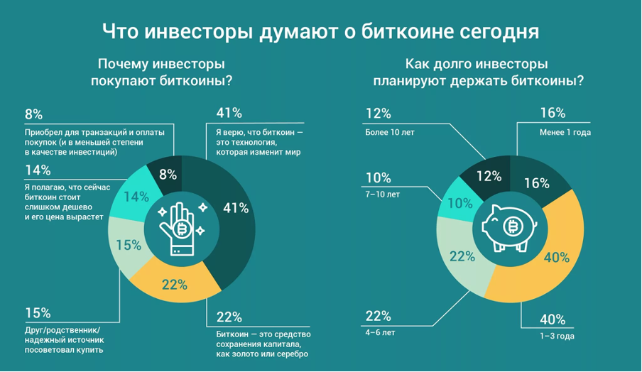 Биткоин статистика. Криптовалюта инфографика. Инфографика по криптовалюте. Криптовалюта диаграммы.