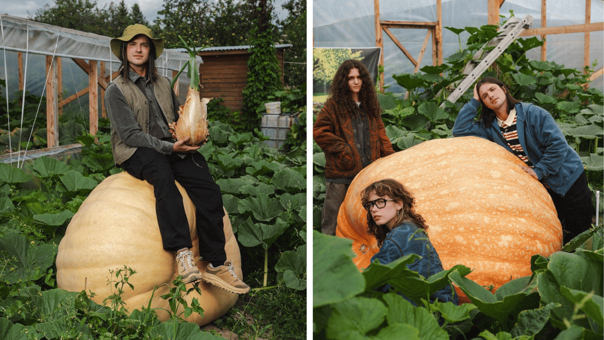 тыква, огромная тыква, самая большая тыква, тыква в России, Александр Чусов, Exteme Grover, бренд МЕЧ